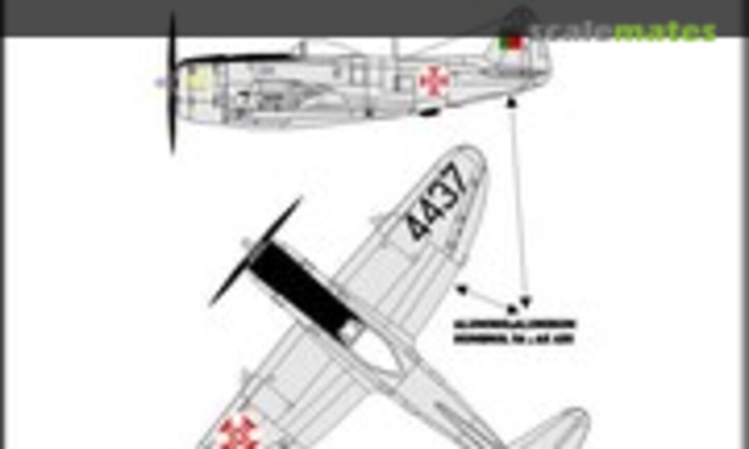 1:72 Republic P-47D (Black Cat Decals BC720020)