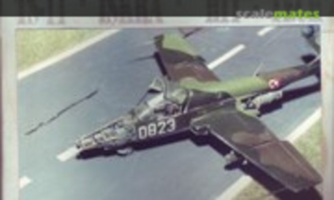 1:72 TS-11 Iskra (Warrior Model )