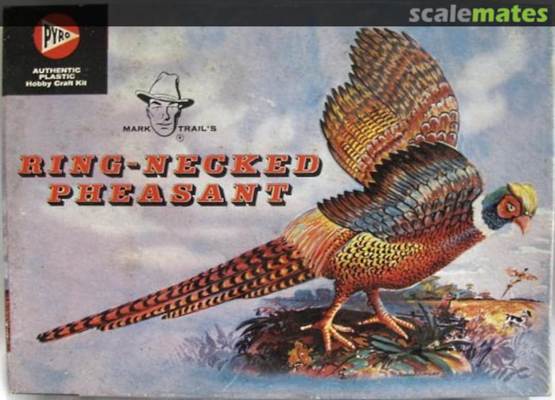 Boxart Ring-Necked Pheasant 281-98 Pyro Boxart Ring-Necked Pheasant 281-98 Pyro