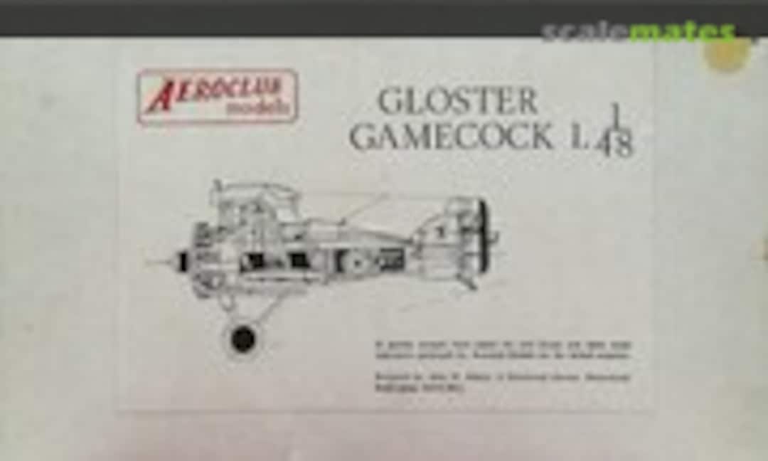 1:48 Gloster Gamecock 1. (Aeroclub K034) K034