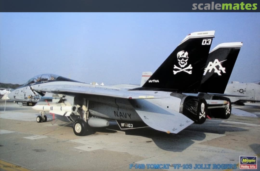 Boxart F-14B Tomcat 04096 Hasegawa Boxart F-14B Tomcat 04096 Hasegawa