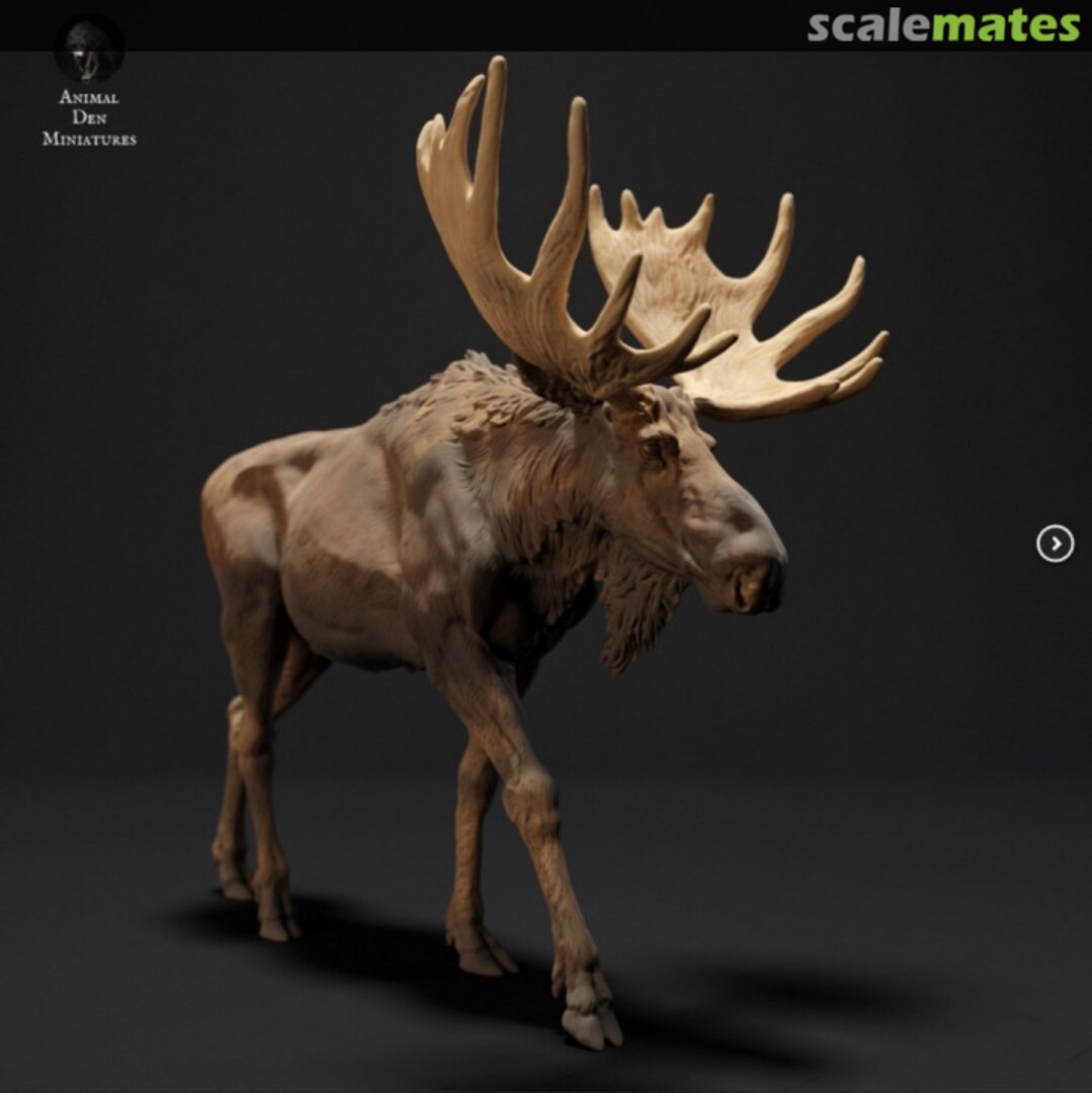 Boxart Moose - Walking 35130432 EMP3d Boxart Moose - Walking 35130432 EMP3d