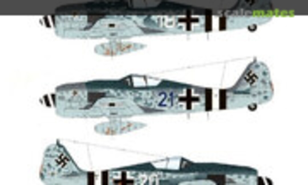 1:48 II./JG 4 (Sturm) Fw 190s (Eagle Editions EagleCals EC48-22) EagleCals EC48-22