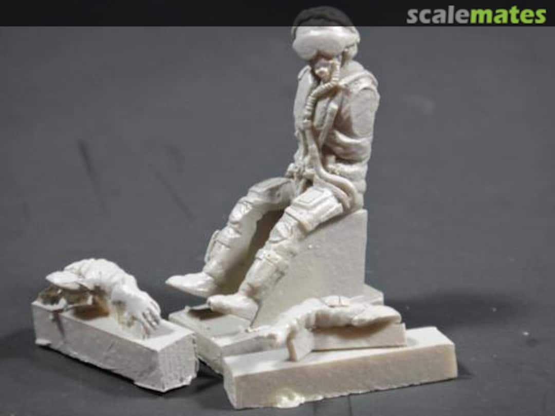 Boxart Modern RAF Pilot Figure 48011 Phase Hangar Resin Boxart Modern RAF Pilot Figure 48011 Phase Hangar Resin