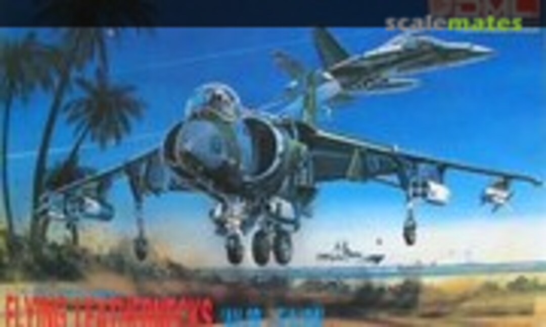 1:144 Flying Leathernecks AV-8B &amp; F/A-18A (DML 4010)