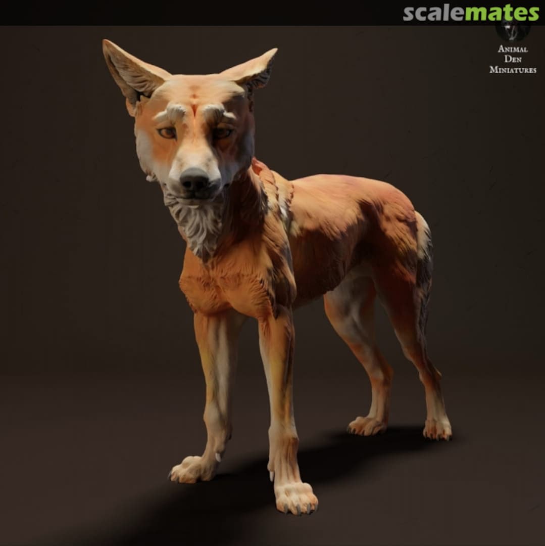 Boxart Dingo Dog Standing - 2 Pieces 48130214 EMP3d Boxart Dingo Dog Standing - 2 Pieces 48130214 EMP3d