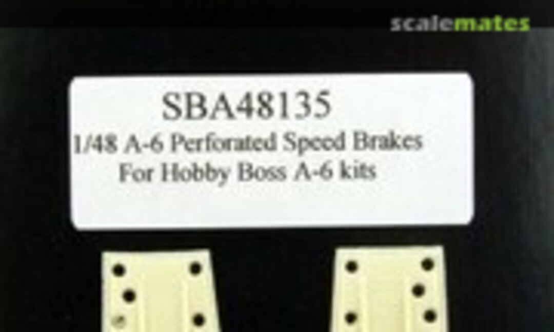 1:48 A-6 Intruder Perforated Speed Brakes (Steel Beach 48135) 48135