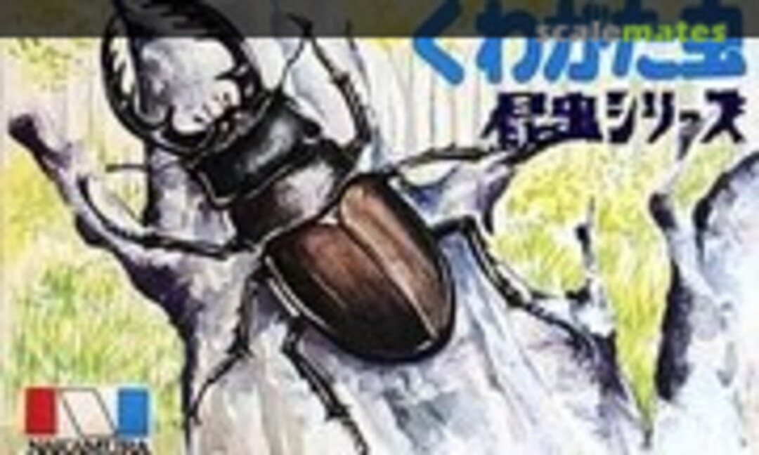 No Stag Beetle (Nakamura )