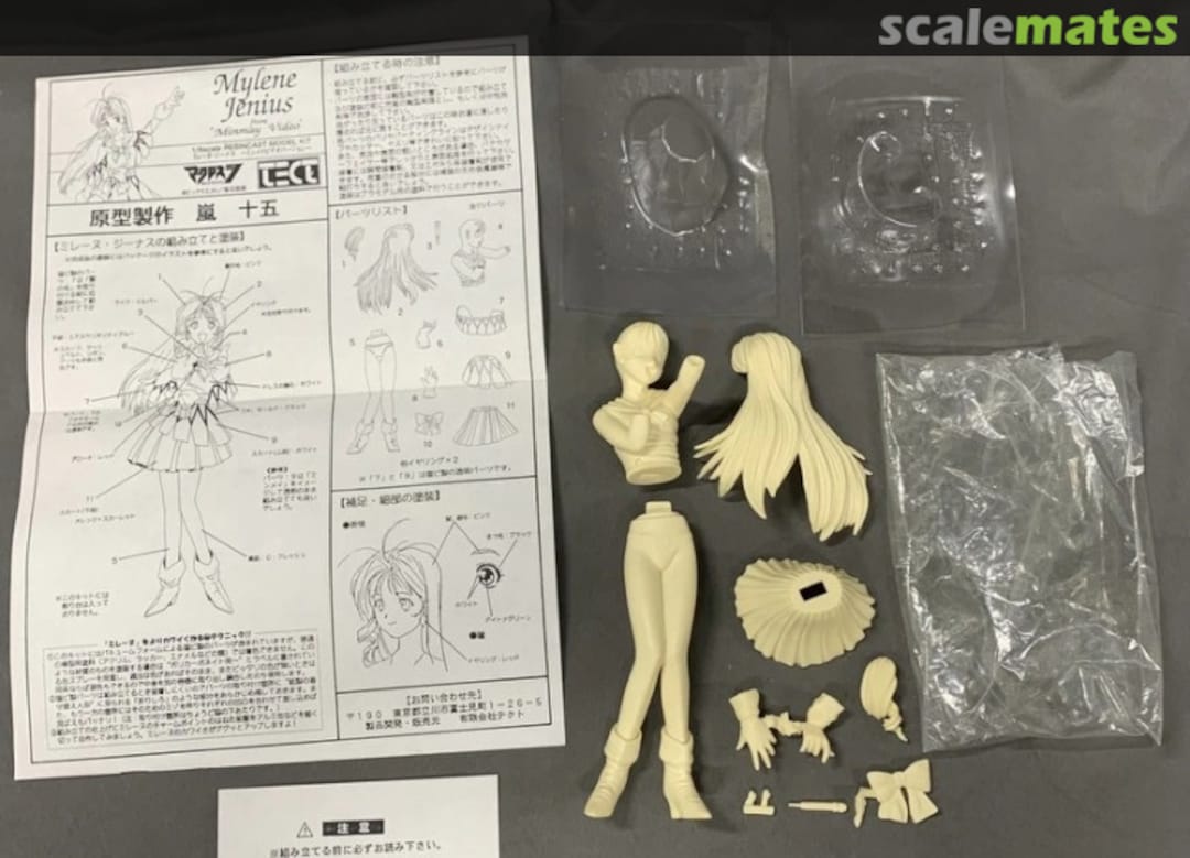 Contents Mylene Jenius from 'Minmay Video'  Tect Models