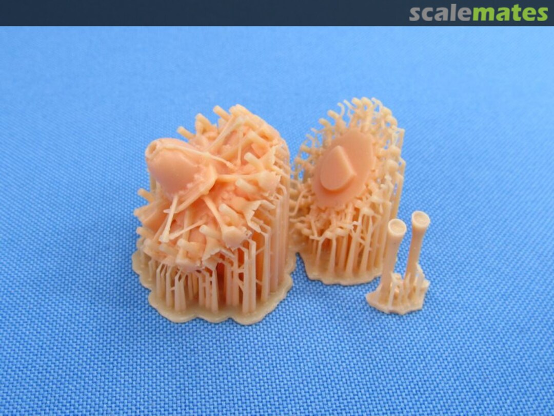 Boxart Bristol Mercury MDR48236 Metallic Details Boxart Bristol Mercury MDR48236 Metallic Details