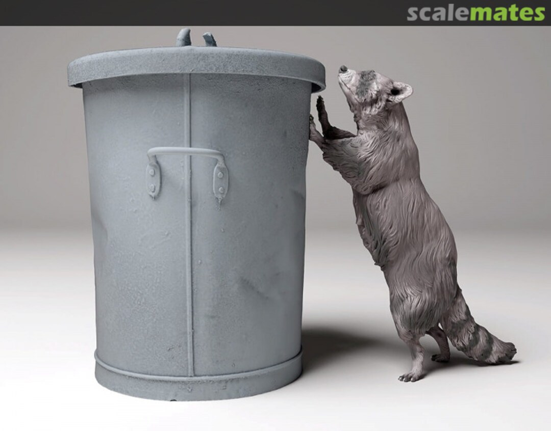 Boxart Racoon - leaning on trashcan 35130439 EMP3d Boxart Racoon - leaning on trashcan 35130439 EMP3d