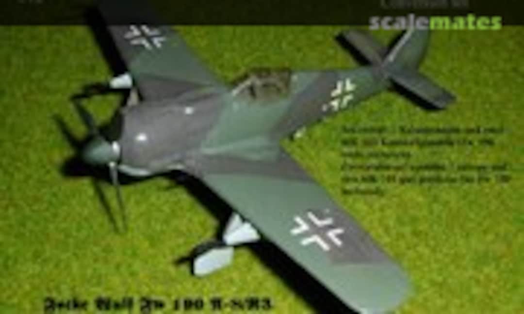 1:72 Focke Wulf Fw 190 A-8/R3 "Panzerknacker" (Bird Models 72041) 72041
