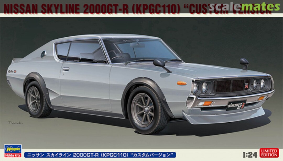 Boxart Nissan Skyline 2000GT-R (KPGC110) "Custom Version" 20669 Hasegawa