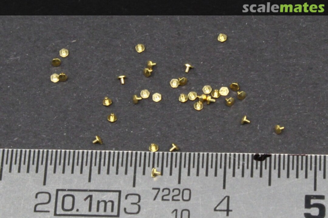 Boxart Turned metal bolts pattern 3 (M0.4X0.6)50pcs. TE037 Voyager Model Boxart Turned metal bolts pattern 3 (M0.4X0.6)50pcs. TE037 Voyager Model