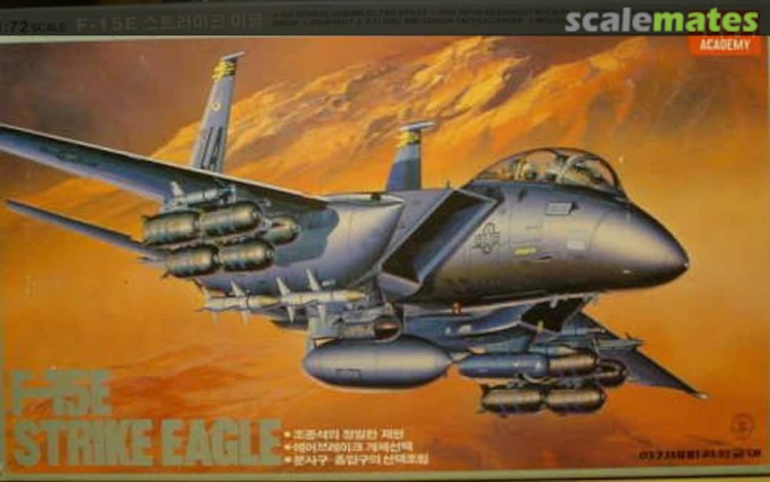 Boxart F-15E Strike Eagle FA081 Academy Boxart F-15E Strike Eagle FA081 Academy