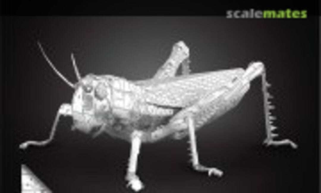 No Grasshopper (Fascinations ME1033)