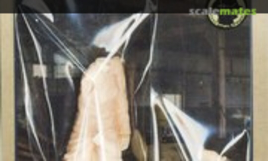 1:20 Strahl Female AI Tech Officer (Brick Works Series 31) Series 31