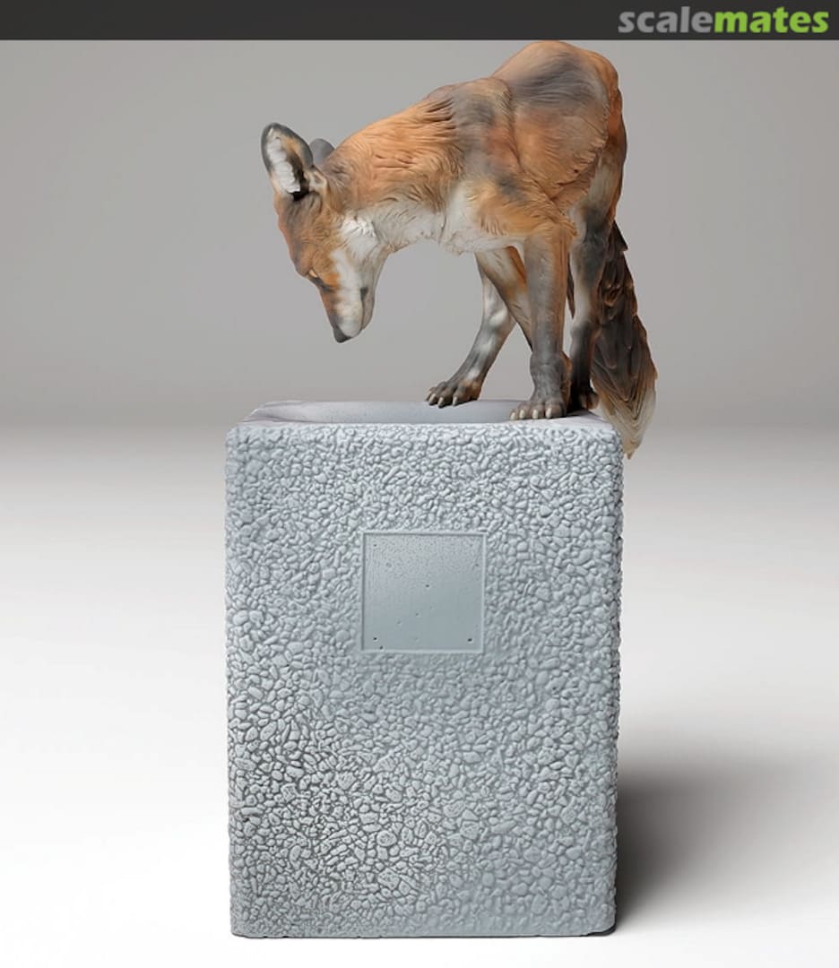 Boxart Red fox - on the trashcan 35130443 EMP3d Boxart Red fox - on the trashcan 35130443 EMP3d