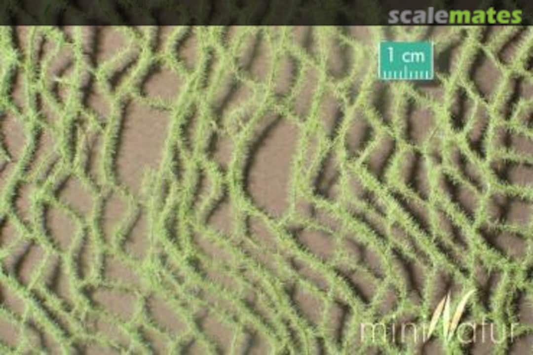 Boxart Horsetails, spring 990-21 Silhouette Boxart Horsetails, spring 990-21 Silhouette