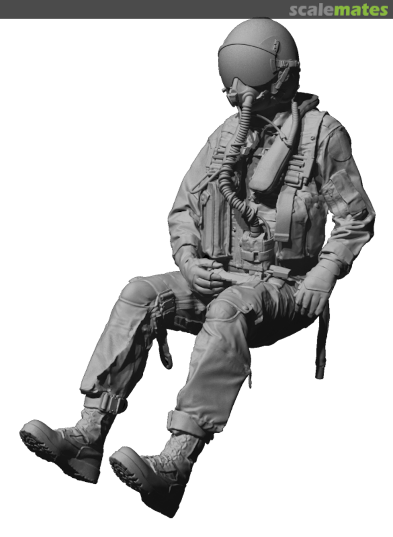 Boxart US Navy modern fighter pilot sitting 5, hands on sticks (XNJ) 480247 Reedoak