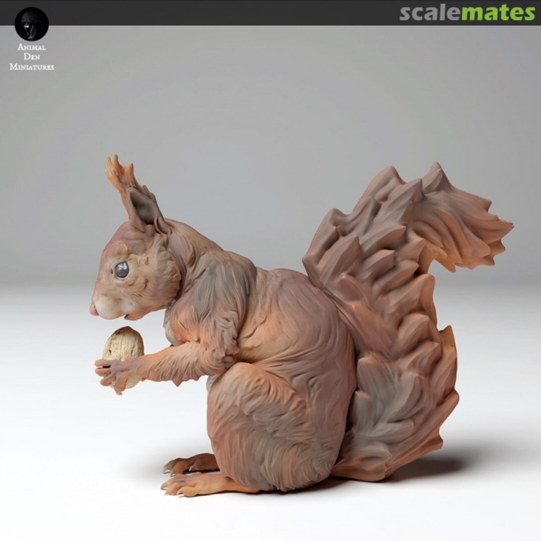 Boxart Squirrel - eating - 4 pieces 35130444 EMP3d