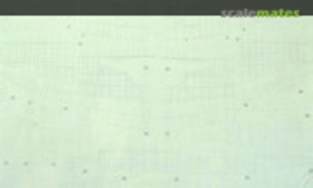 1:48 Republic P-47D Bubbletop Riveting Set (HGW Models 481014) 481014