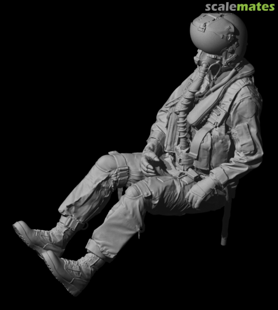 Boxart US Navy modern fighter pilot sitting 5 with JHMCS helmet, hands on sticks (XKW) 480249 Reedoak