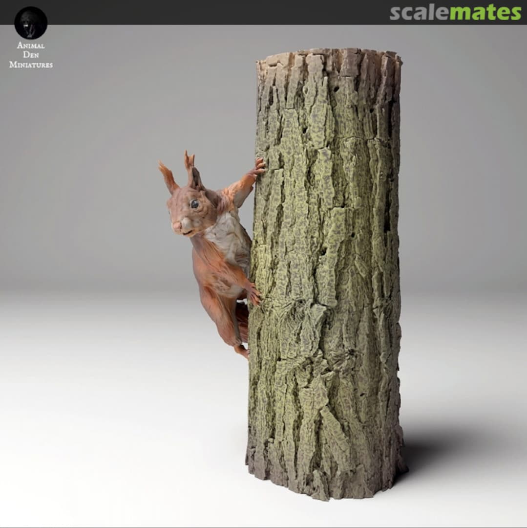 Boxart Squirrel - on the tree - 1 set 35130445 EMP3d Boxart Squirrel - on the tree - 1 set 35130445 EMP3d