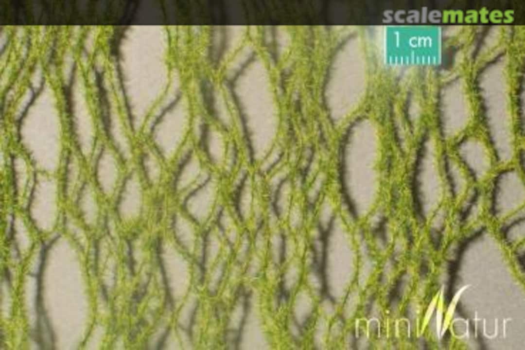 Boxart Horsetails, early autumn 990-23 Silhouette Boxart Horsetails, early autumn 990-23 Silhouette