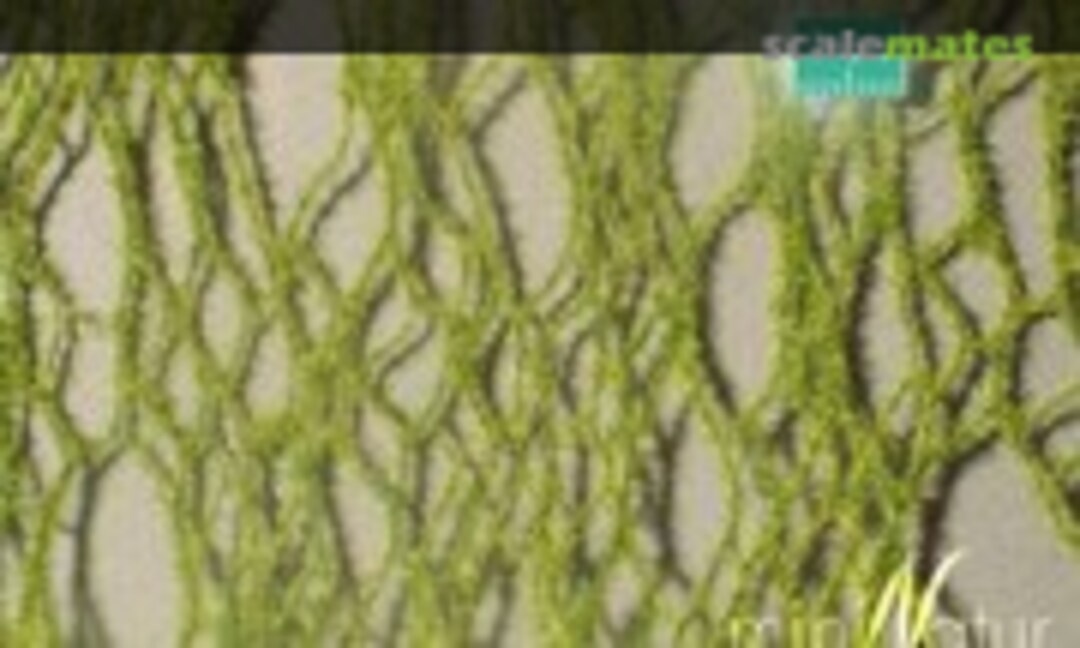 No Horsetails, early autumn (Silhouette 990-23) 990-23