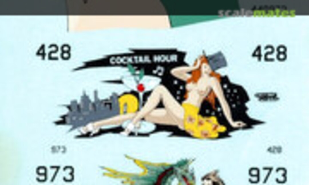 1:48 B-24 Pacific Theatre (Microscale 48-37) 48-37