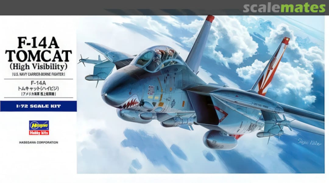 Boxart F-14A Tomcat (High Visibility) 00533 Hasegawa Boxart F-14A Tomcat (High Visibility) 00533 Hasegawa