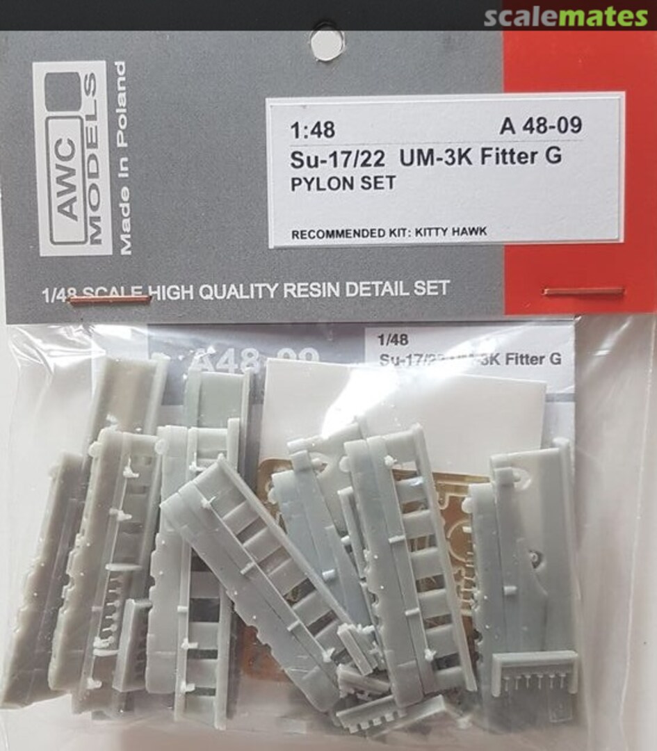 Boxart Su-17/22 UM-3K Fitter G Pylon Set A480-09 AWC Models Boxart Su-17/22 UM-3K Fitter G Pylon Set A480-09 AWC Models