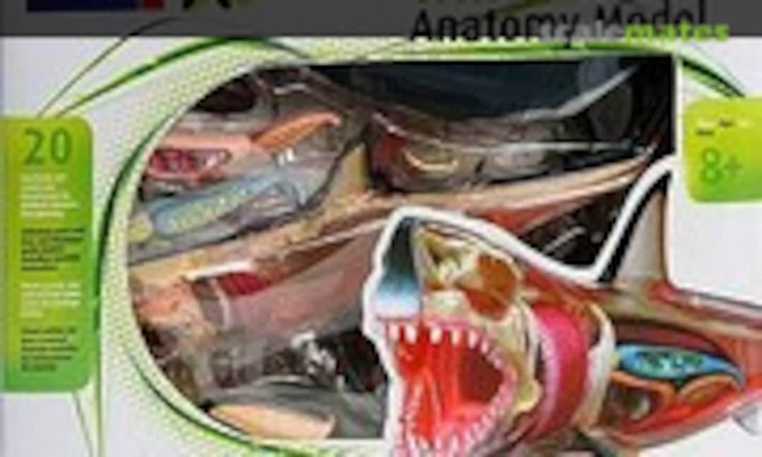 No Great White Shark (Revell 02098) 02098