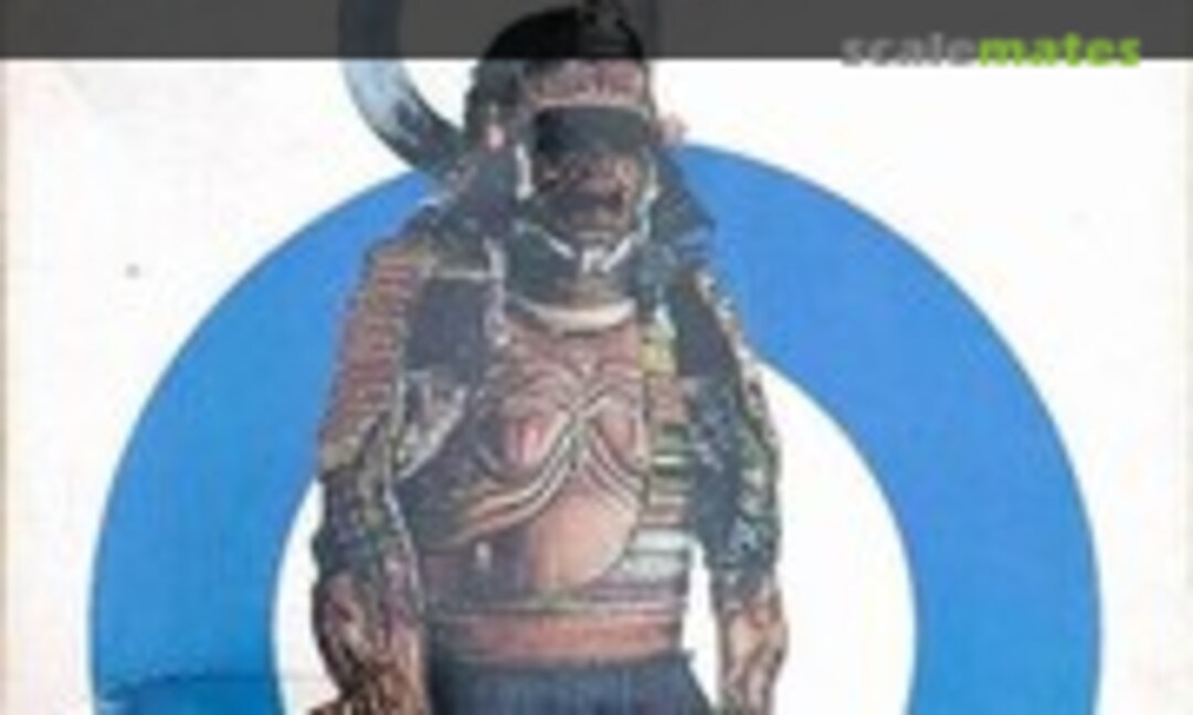 1:4 Kato Kiyomasa (Aihara Models 4) 4