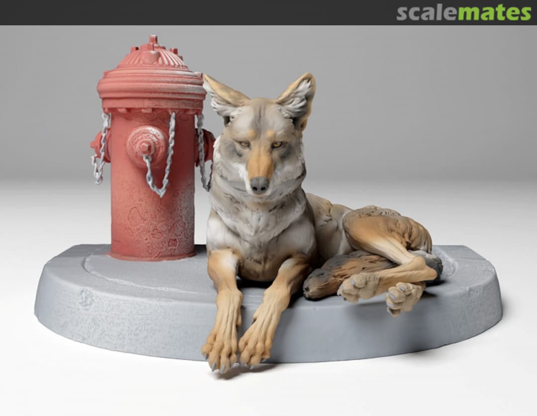 Boxart Coyote - Lying (1 Piece) 35130451 EMP3d Boxart Coyote - Lying (1 Piece) 35130451 EMP3d