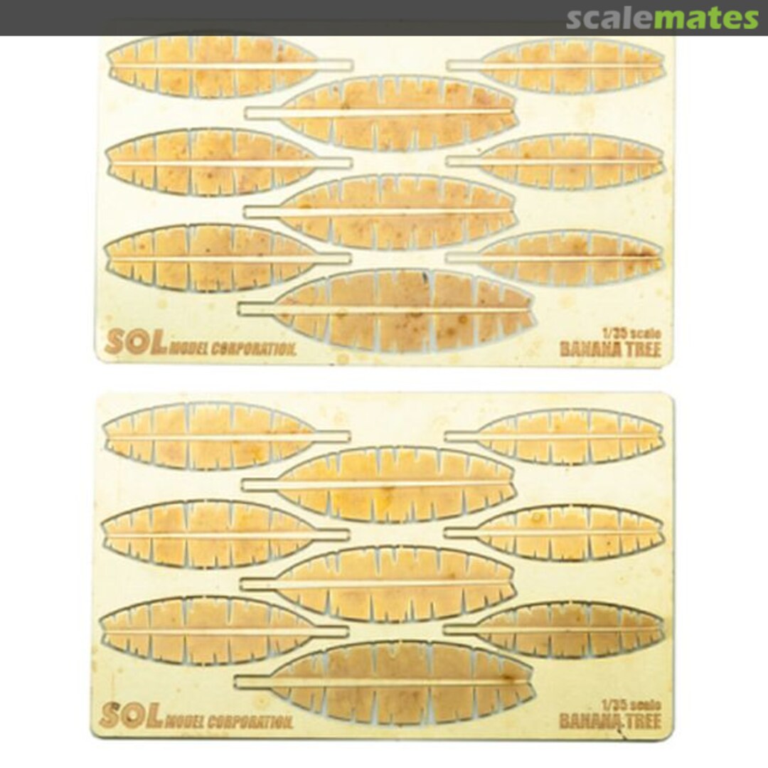 Boxart Banana Tree Leaves MM473 SOL