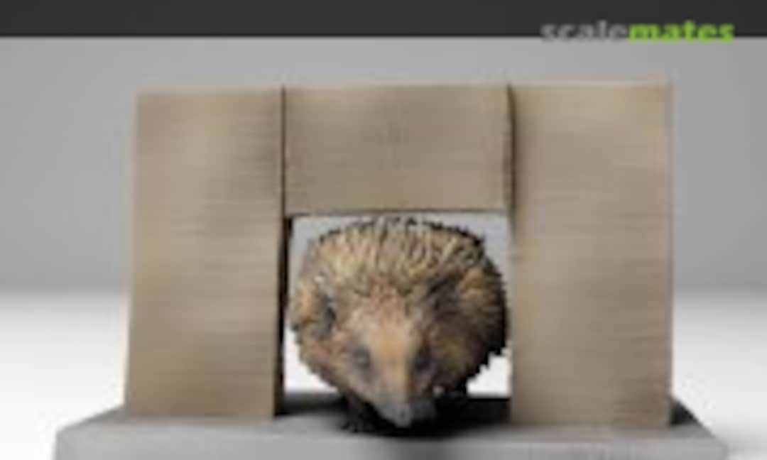 1:35 European Hedgehog - walking (EMP3d 35130453) 35130453