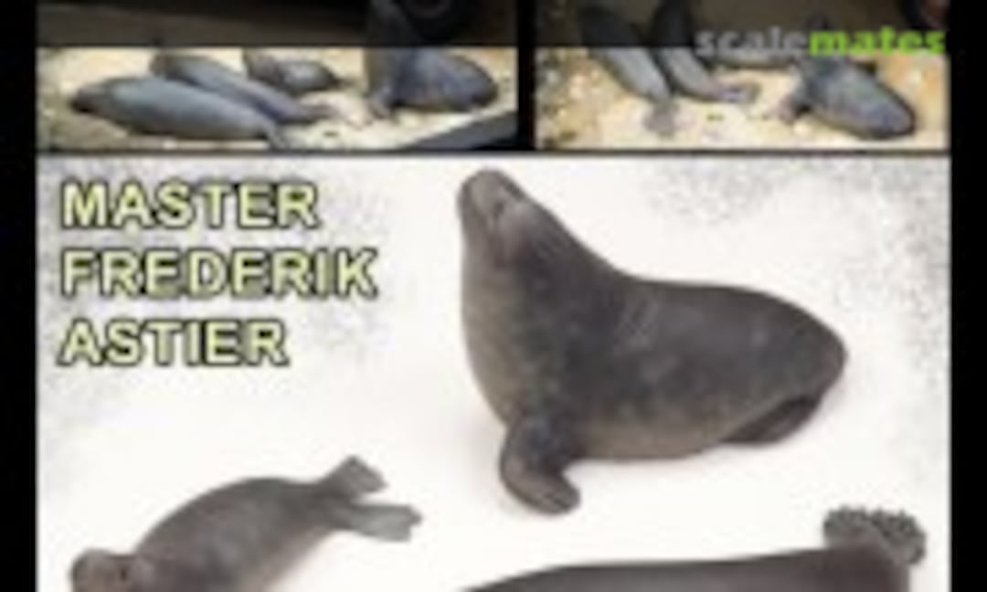 1:35 Seal Family (Blast Models BL35462K) BL35462K