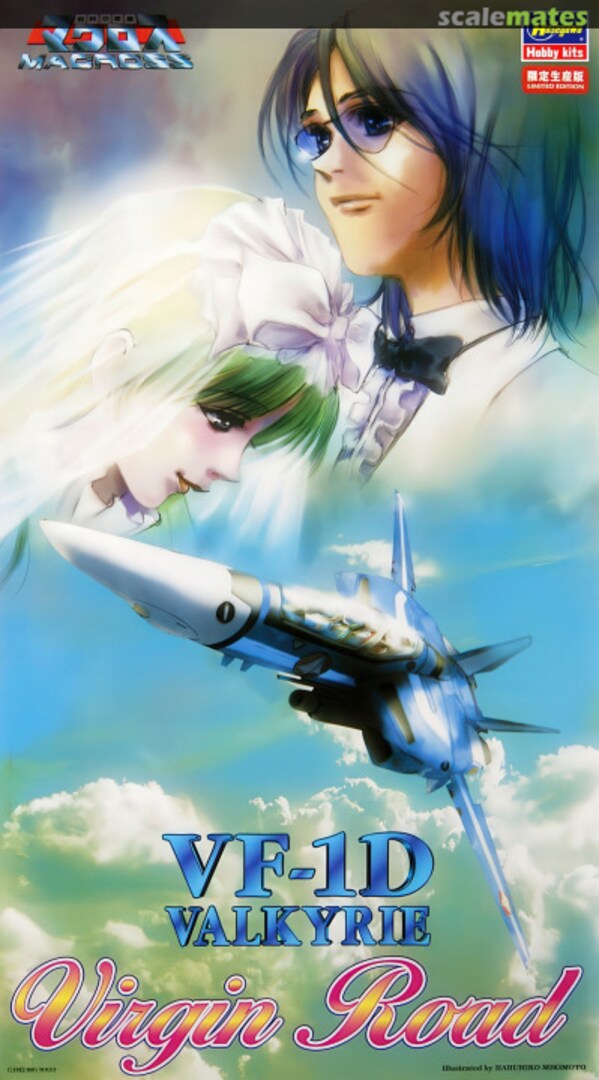 Boxart VF-1D Valkyrie 65764 Hasegawa Boxart VF-1D Valkyrie 65764 Hasegawa