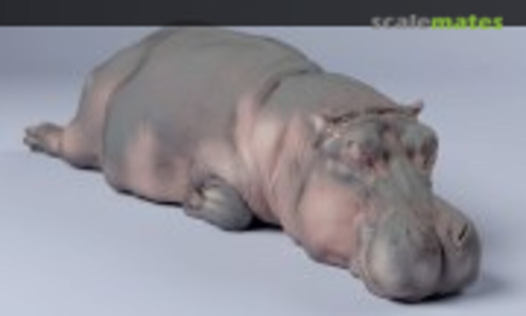 1:48 Hippopotamus - sleeping (EMP3d 48130248) 48130248