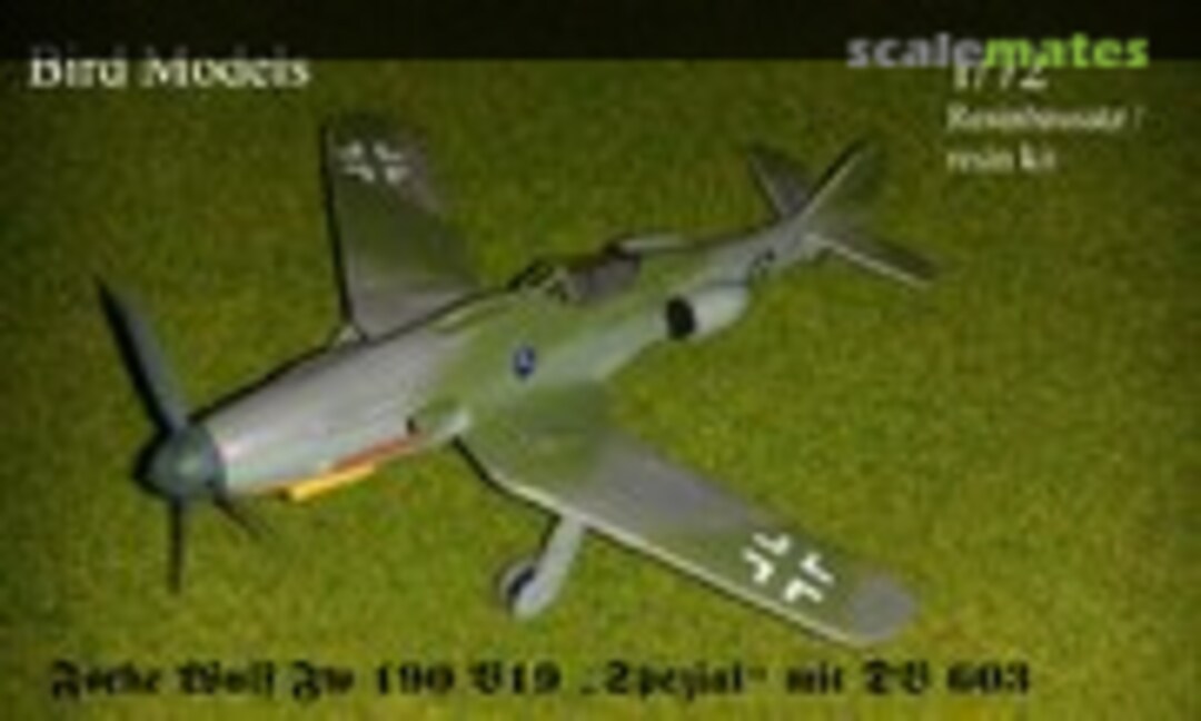 1:72 Focke Wulf Fw 190 V19 &quot;Spezial&quot; mit DB603 (Bird Models 72248)