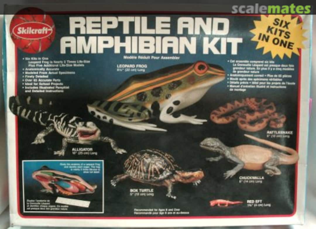Boxart Reptile and Amphibian Kit 74629 Skilcraft Boxart Reptile and Amphibian Kit 74629 Skilcraft