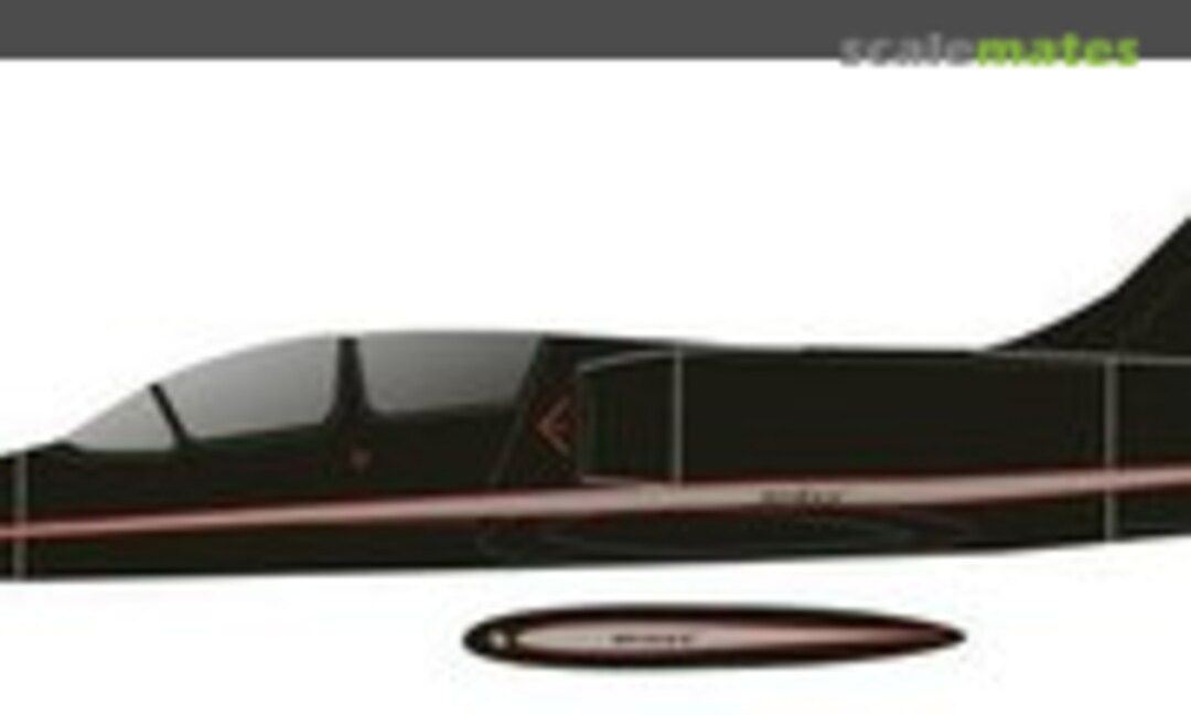 1:32 L-39 Space X Elon Musk current (Red Pegasus Decals L-39 Space X) L-39 Space X