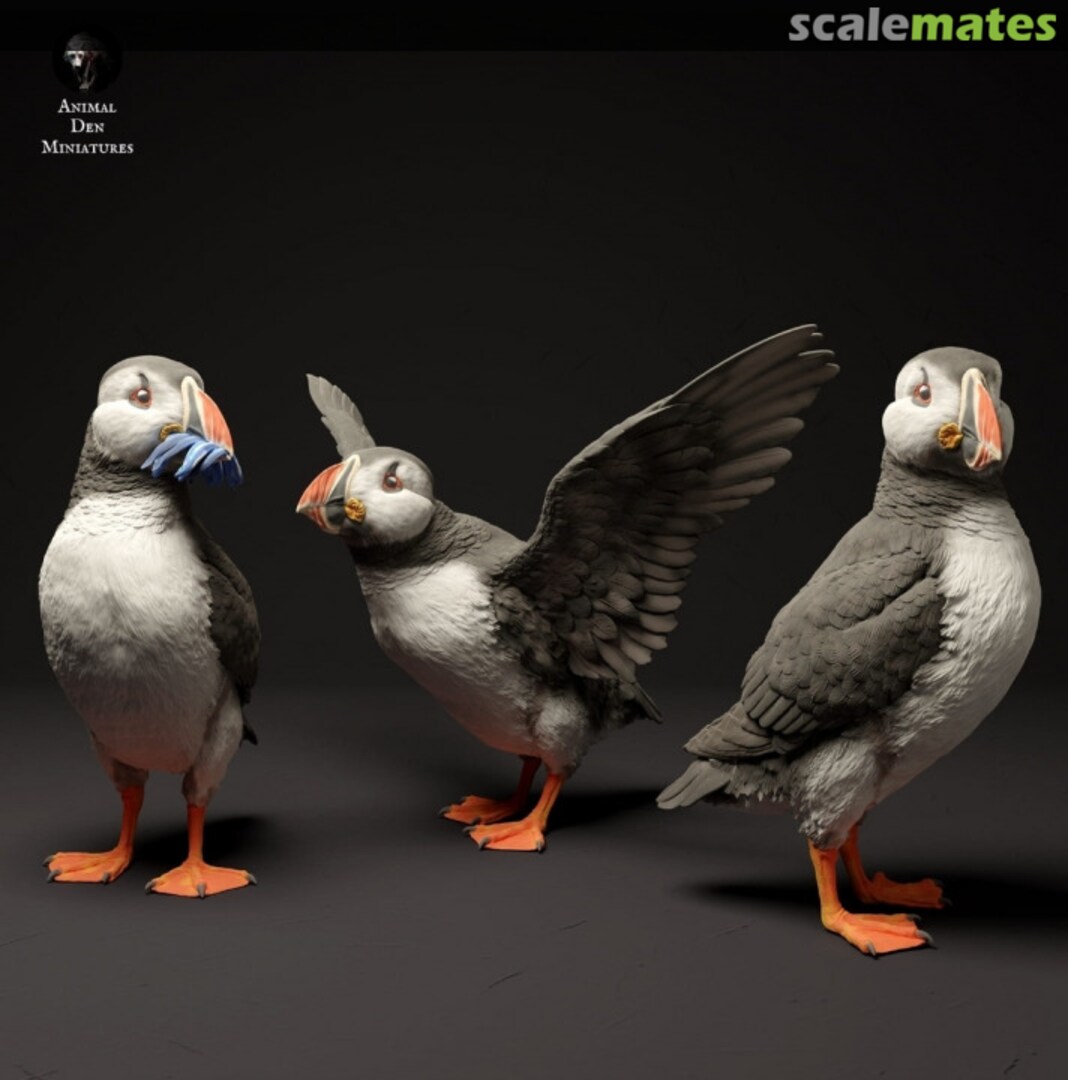 Boxart Atlantic Puffins - 3 different birds 35130522 EMP3d