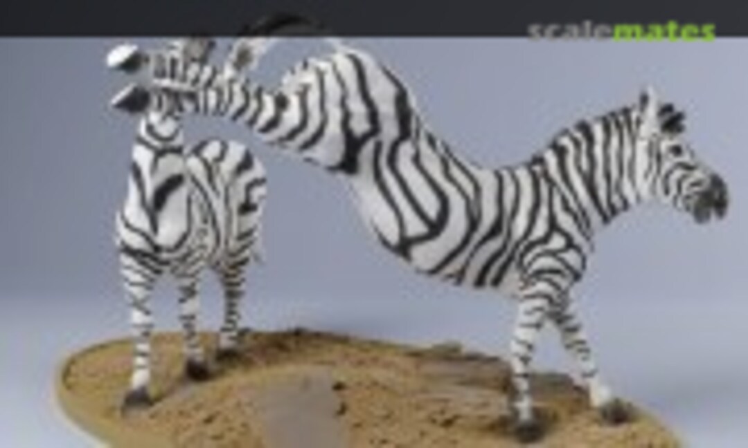 1:48 Plains Zebra - Fighting Males (EMP3d 48130252) 48130252