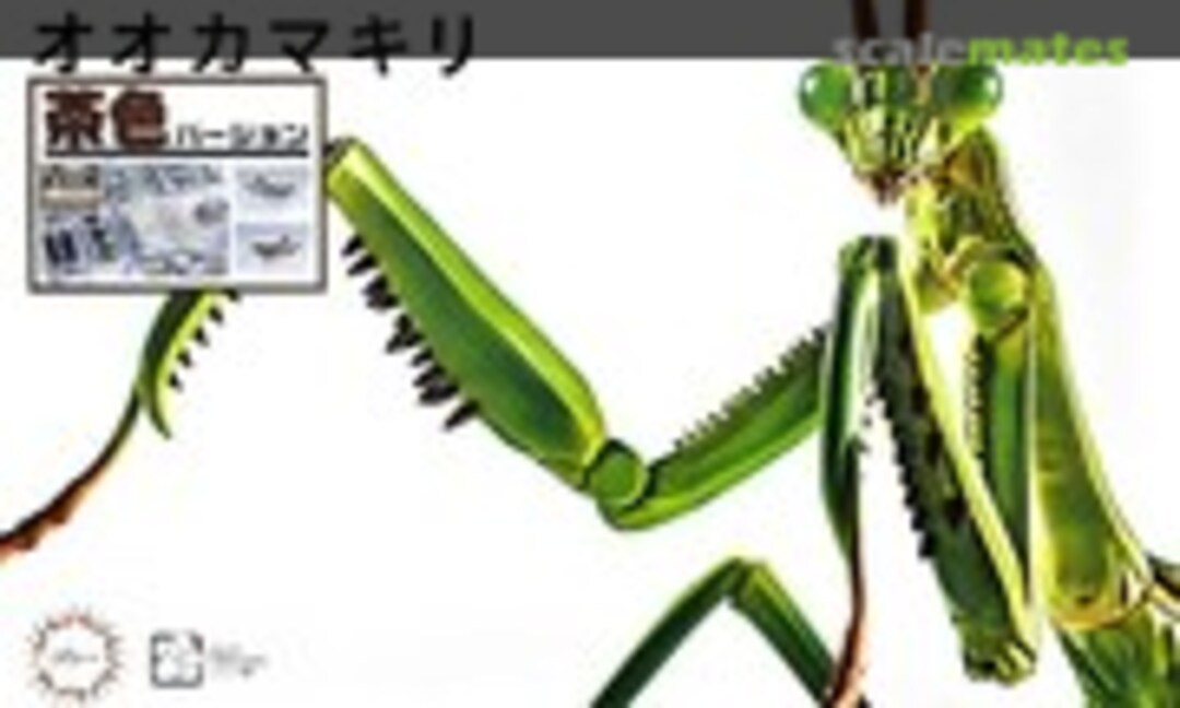 No Okamakiri (Praying Mantis) Brown Ver. (Fujimi 17097)