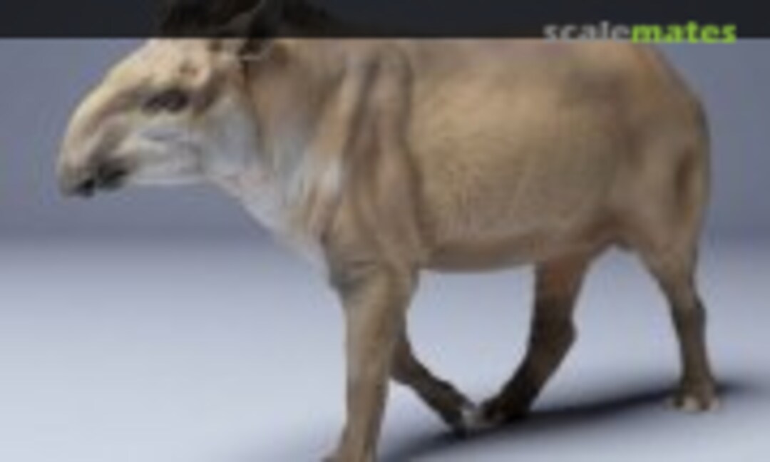 1:48 American Tapir - Walking (EMP3d 48130254) 48130254