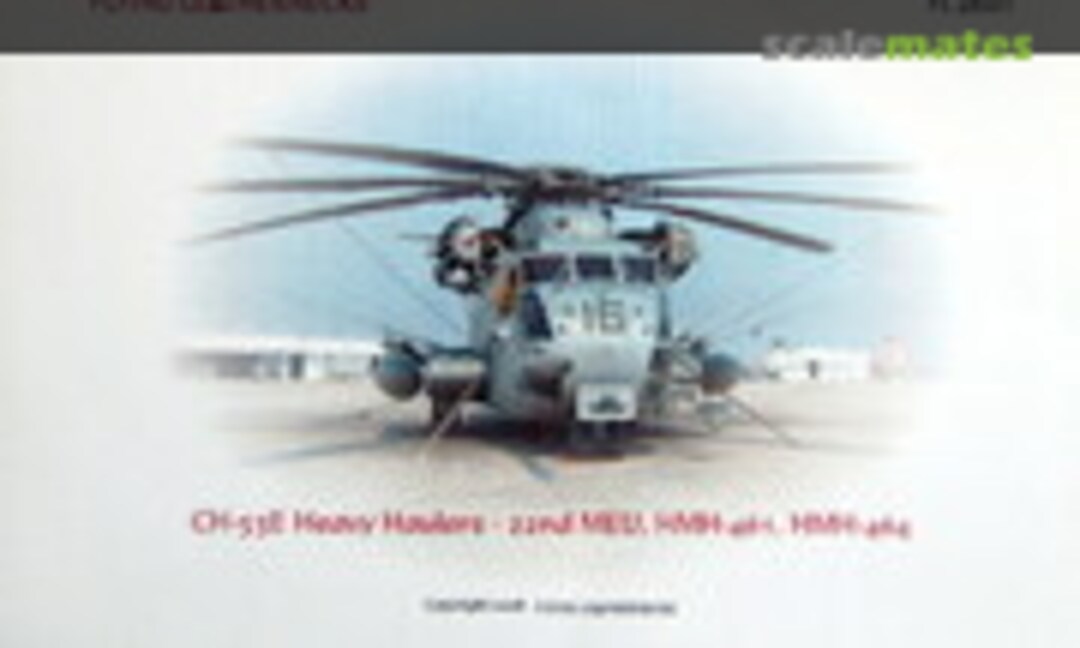 1:48 CH-53E Heavy Haulers (Flying Leathernecks FL48001) FL48001