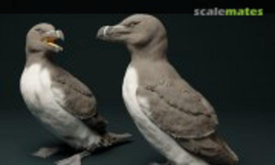 1:35 Razorbill - (4 pieces) (EMP3d 35130525) 35130525